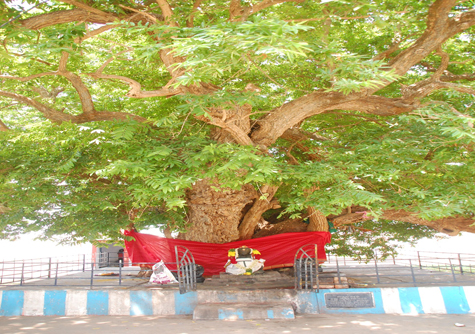 Nootretteeswarar  Temple